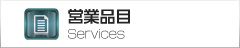 common-navi-services